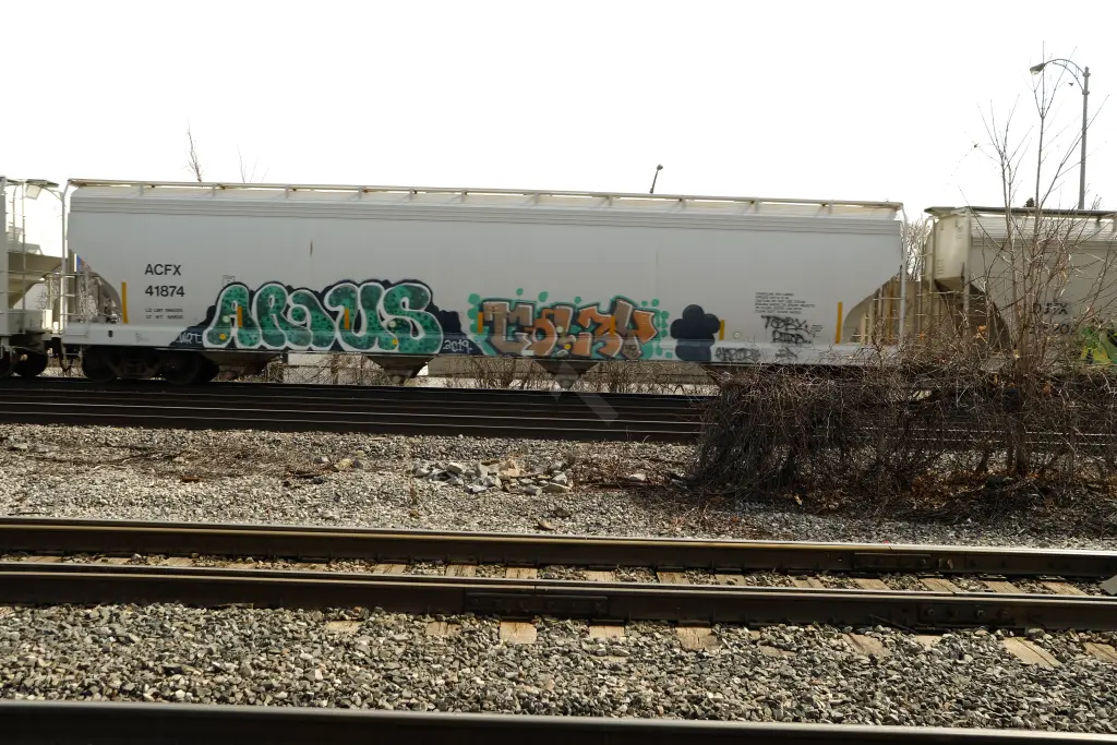ACFX41874 - NORTH-AMERICA