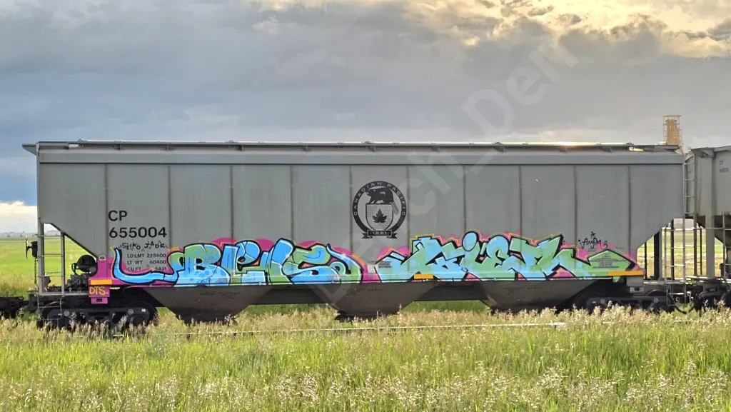 CP655004 - NORTH-AMERICA