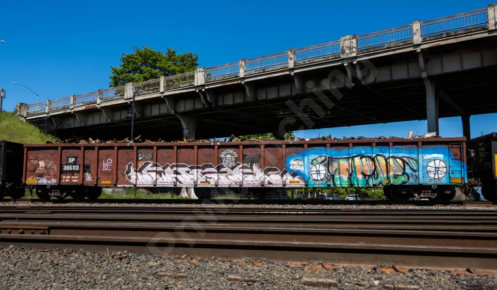 SP365113 - NORTH-AMERICA