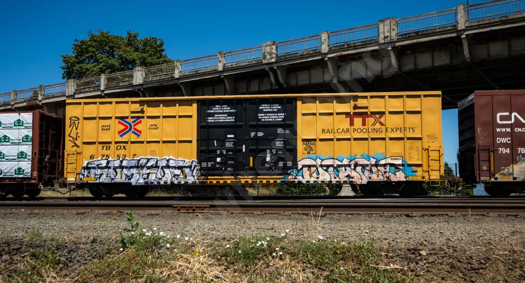 TBOX675537 - NORTH-AMERICA
