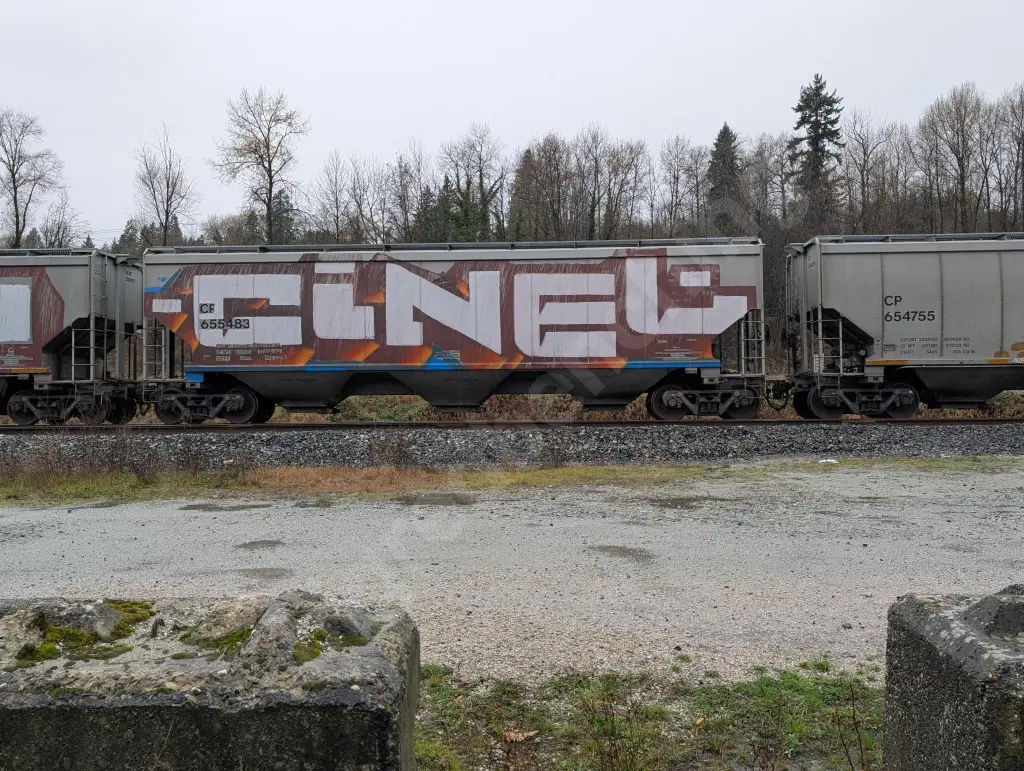 CP655483 - NORTH-AMERICA