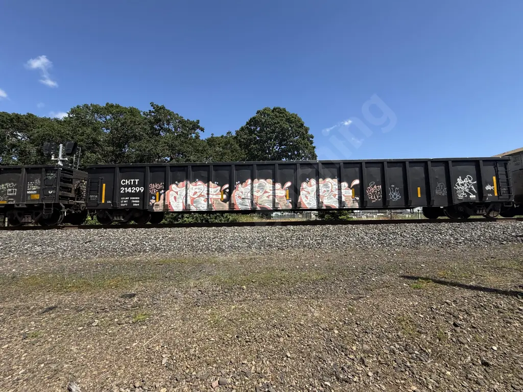 CHTT214299 - NORTH-AMERICA