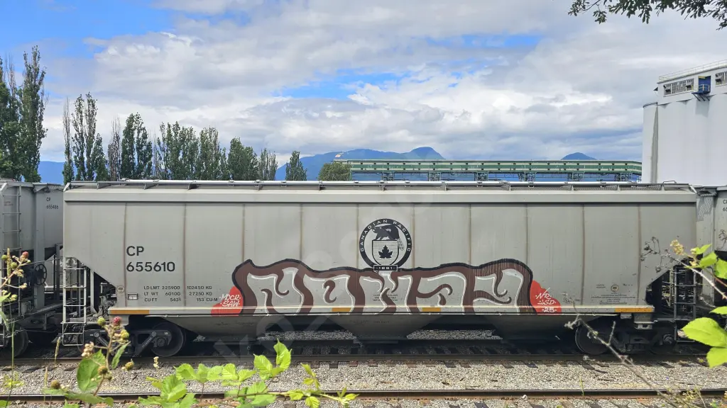 CP655610 - NORTH-AMERICA