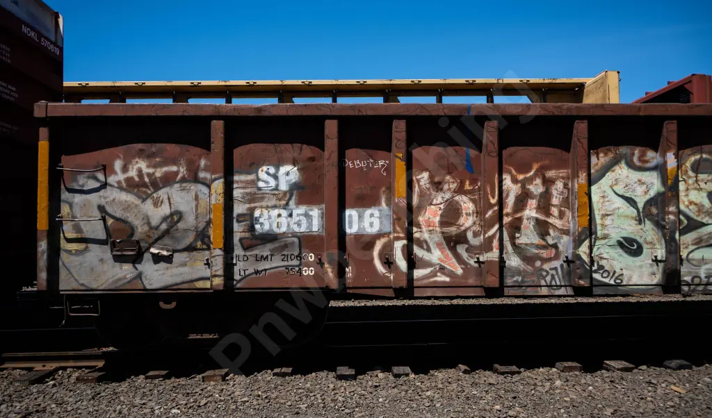 SP365106 - NORTH-AMERICA