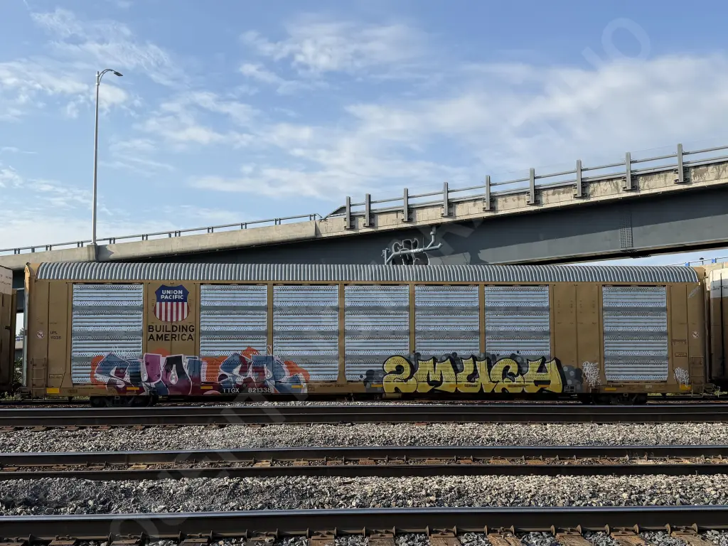 TTGX821338 - NORTH-AMERICA