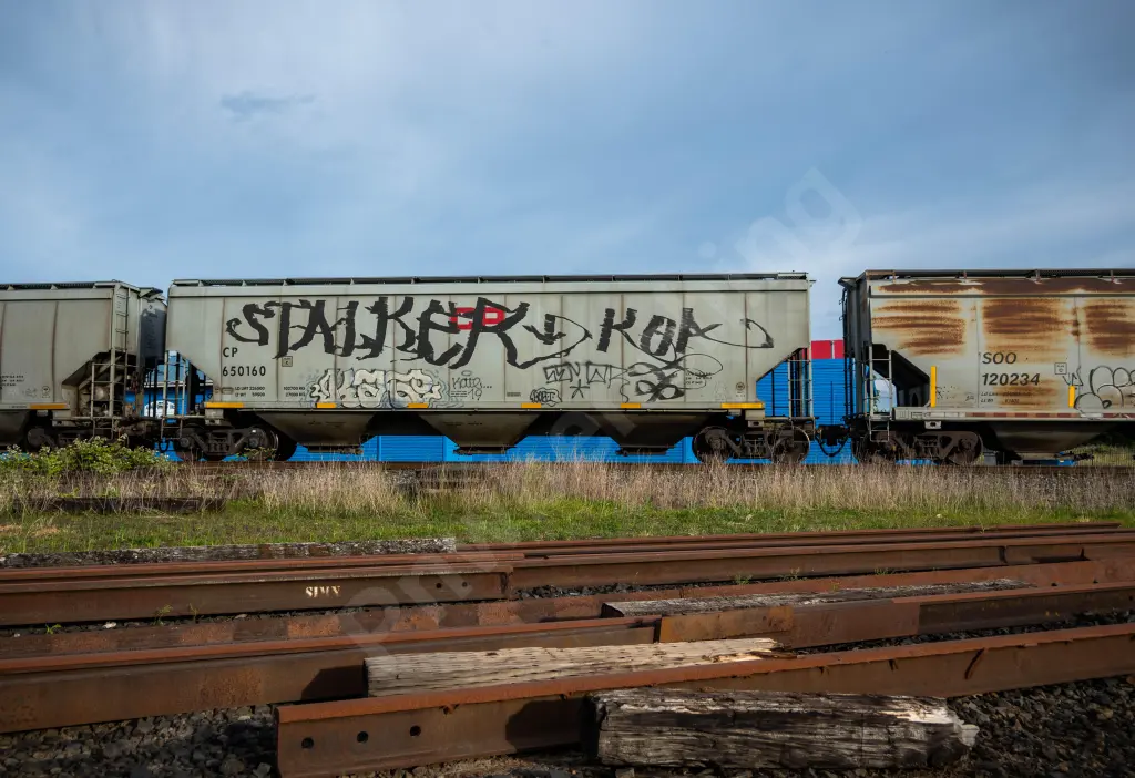 CP650160 - NORTH-AMERICA