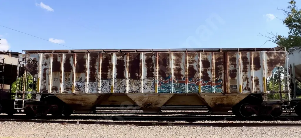 MP722864 - NORTH-AMERICA