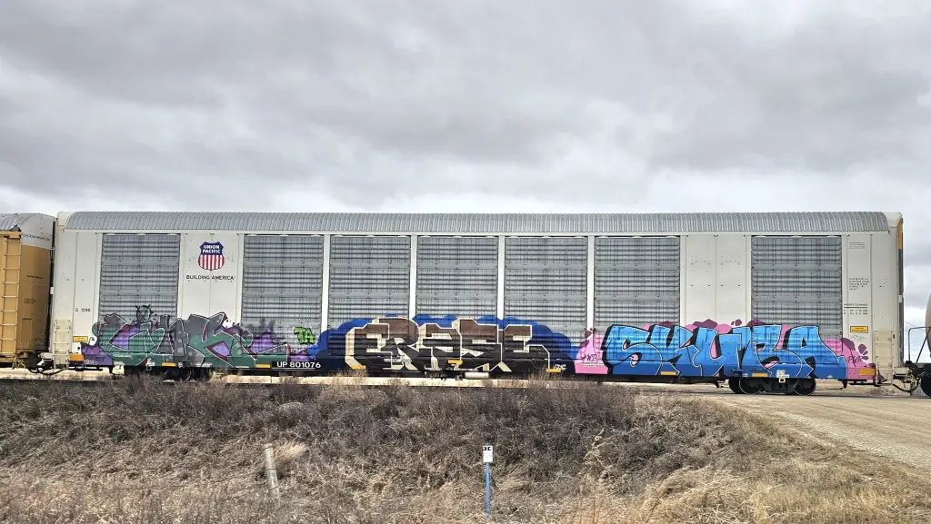 UP801076 - NORTH-AMERICA