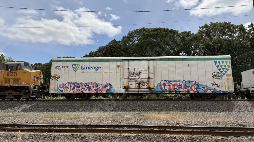 LINX8595 - NORTH-AMERICA