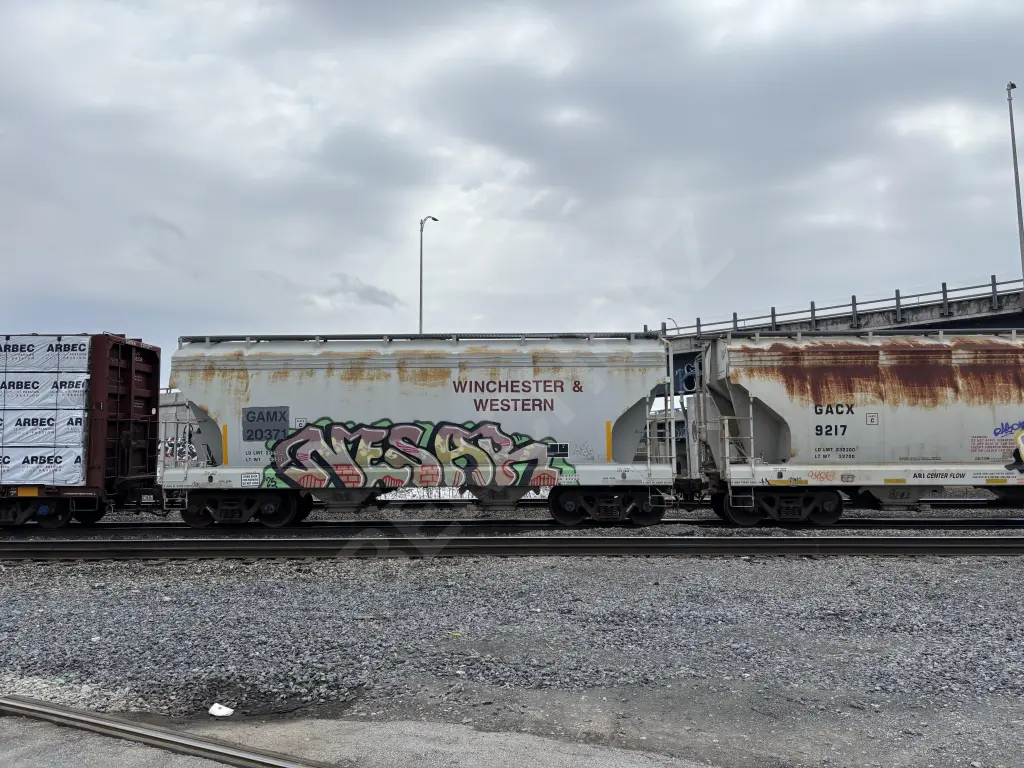 GAMX20371 - NORTH-AMERICA