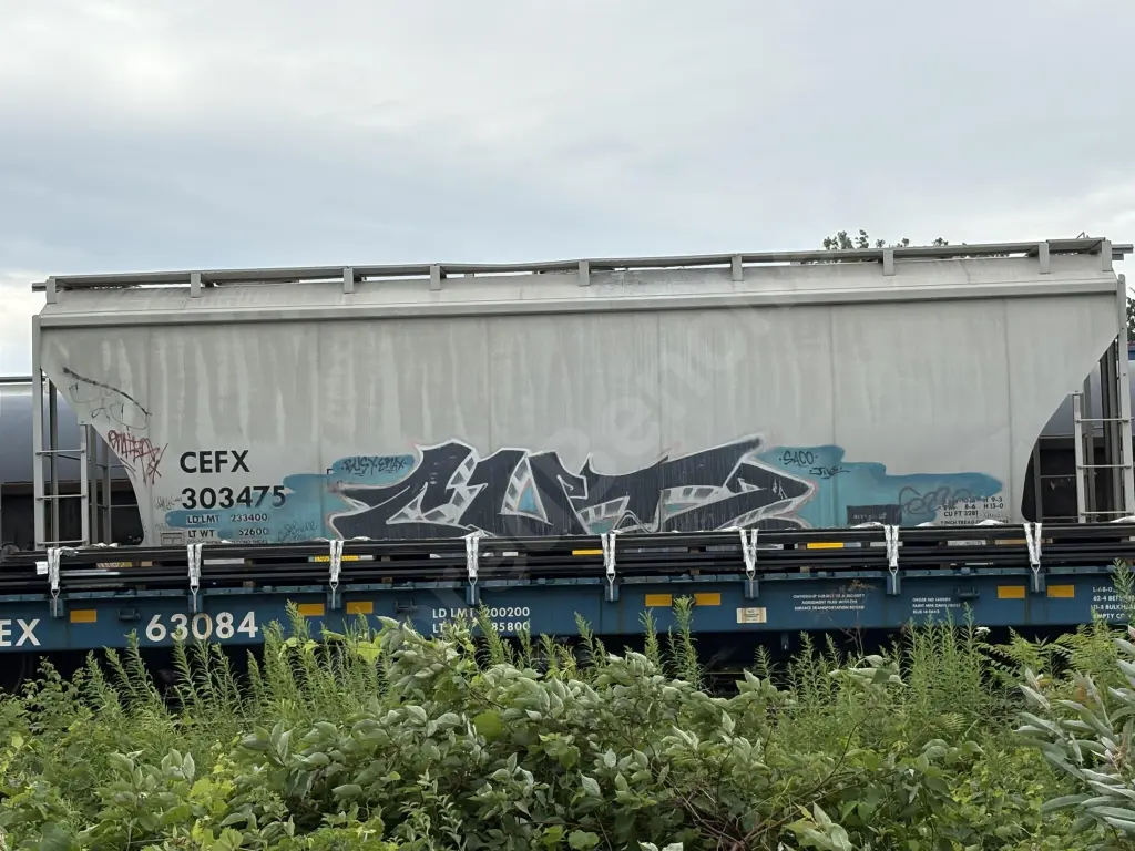CEFX303475 - NORTH-AMERICA
