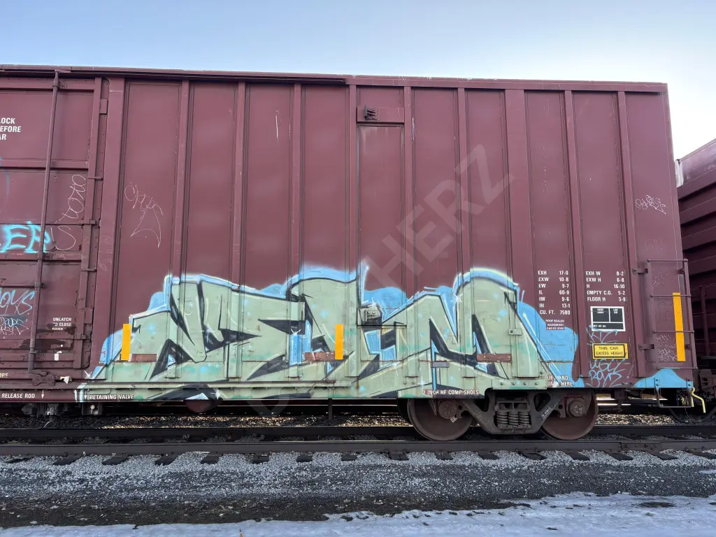 TR110019 - NORTH-AMERICA