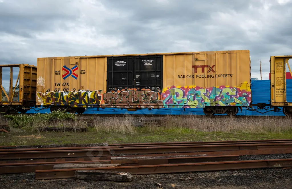 TBOX667023 - NORTH-AMERICA