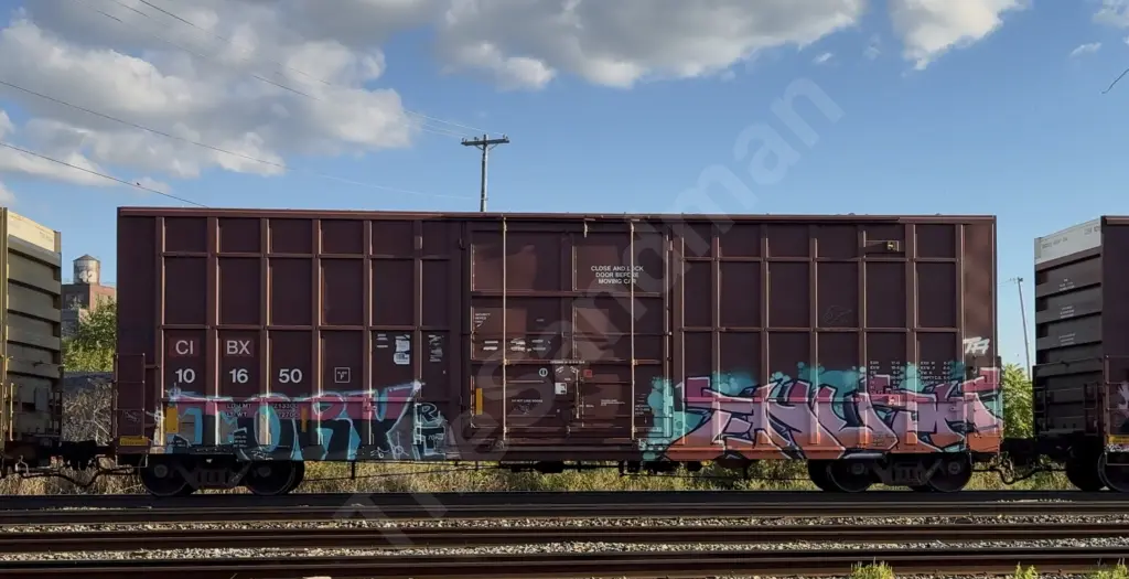 CIBX101650 - NORTH-AMERICA