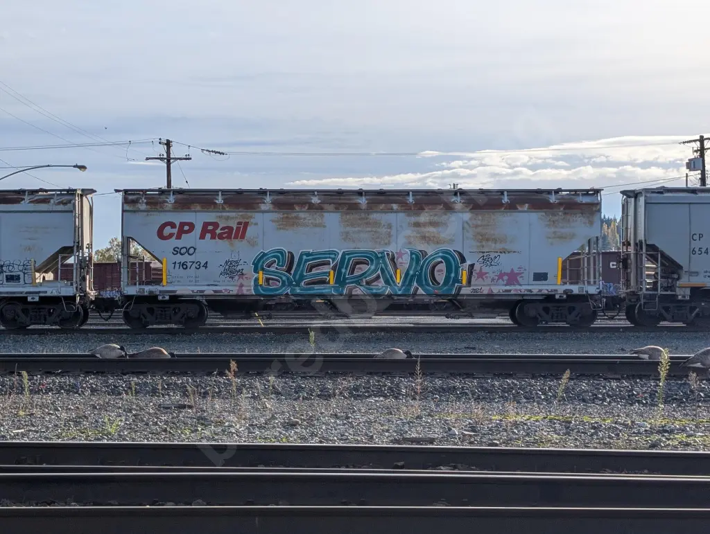 SOO116734 - NORTH-AMERICA