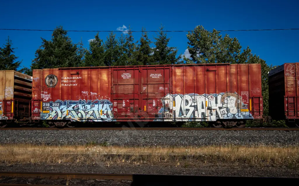 CP218292 - NORTH-AMERICA