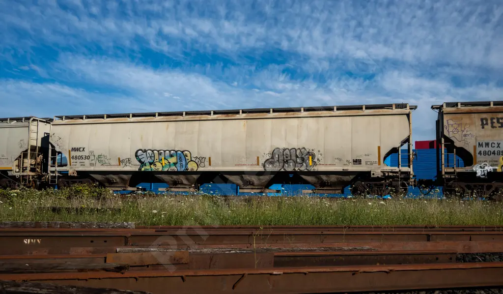 MWCX480530 - NORTH-AMERICA