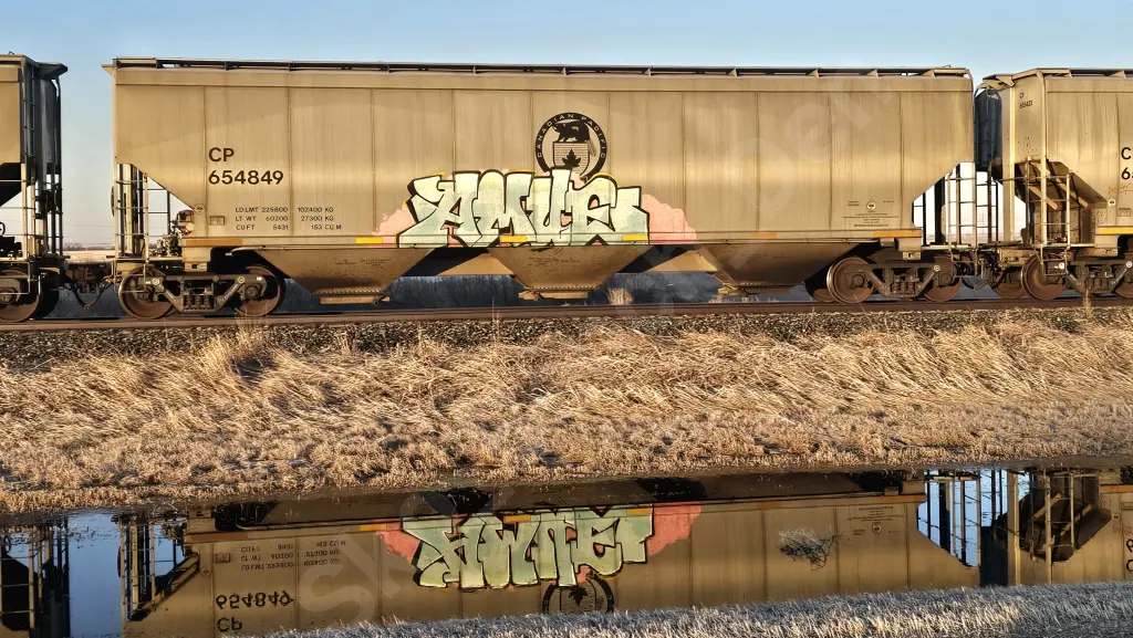 CP654849 - NORTH-AMERICA
