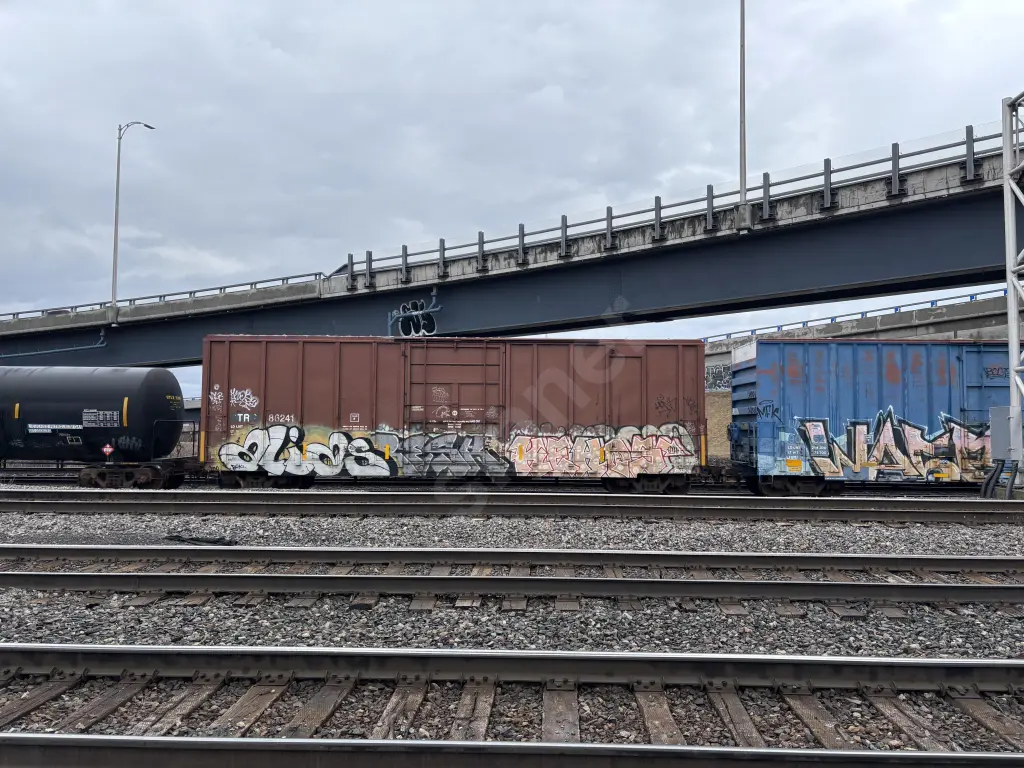TR86241 - NORTH-AMERICA