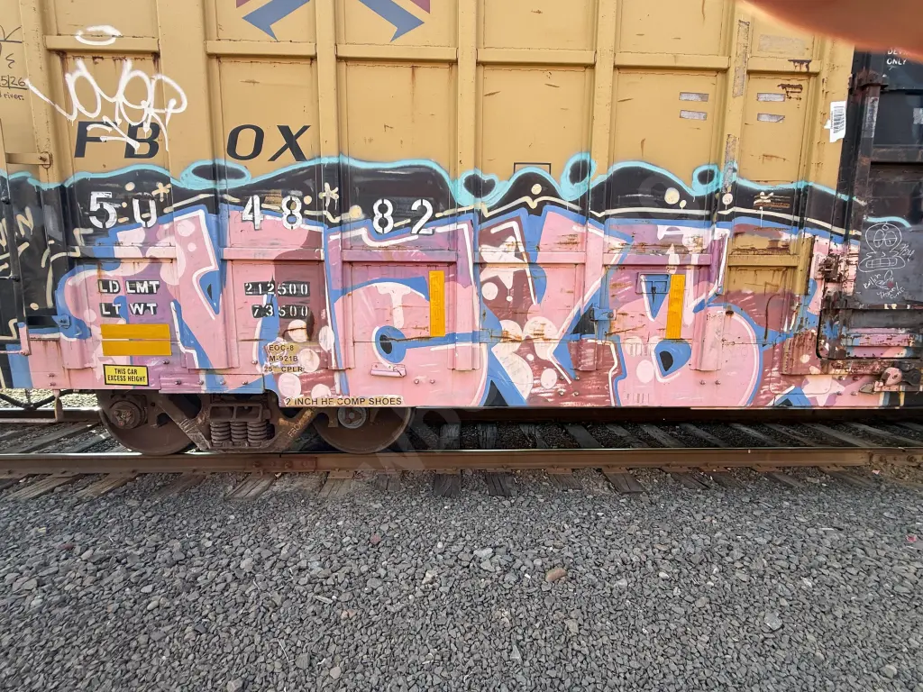 FBOX504882 - NORTH-AMERICA