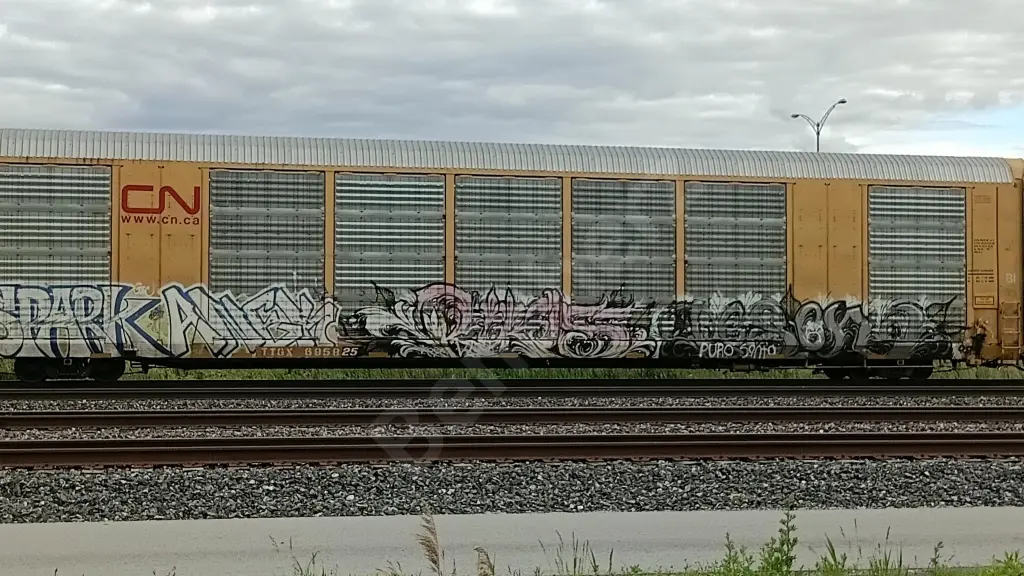 TTGX695825 - NORTH-AMERICA