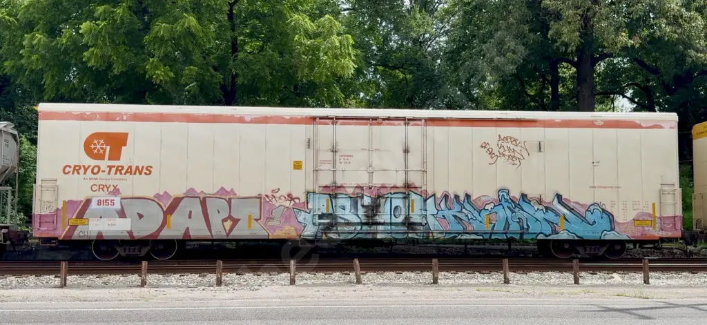 CRYX8155 - NORTH-AMERICA