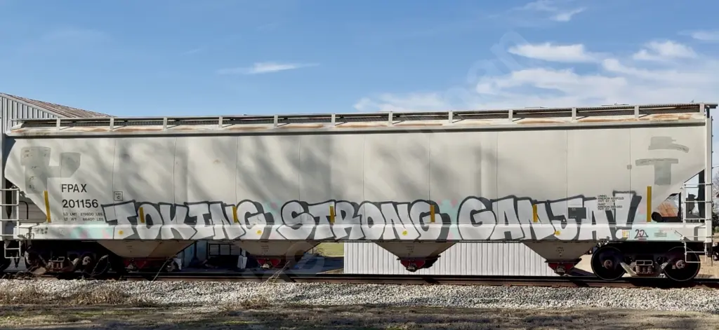TSG - NORTH-AMERICA