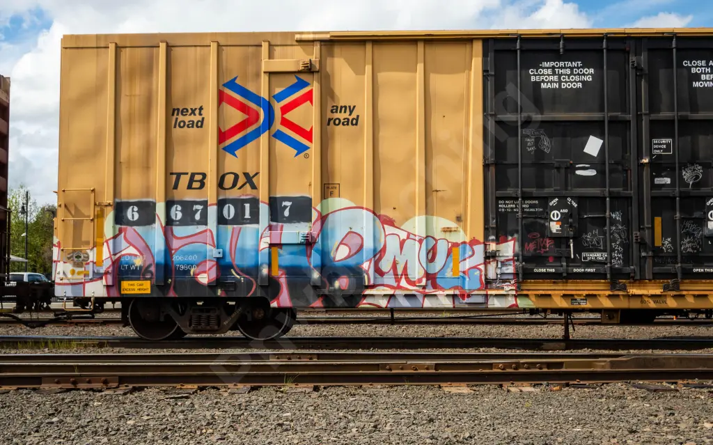 TBOX667017 - NORTH-AMERICA
