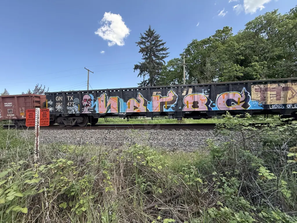 GNTX295477 - NORTH-AMERICA