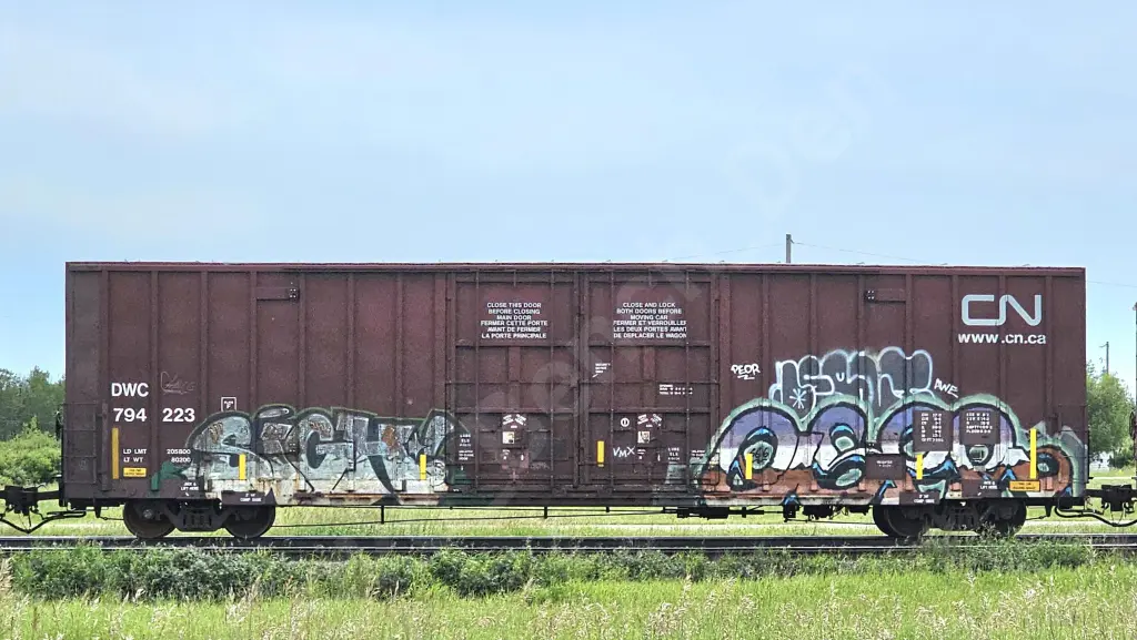 DWC794223 - NORTH-AMERICA