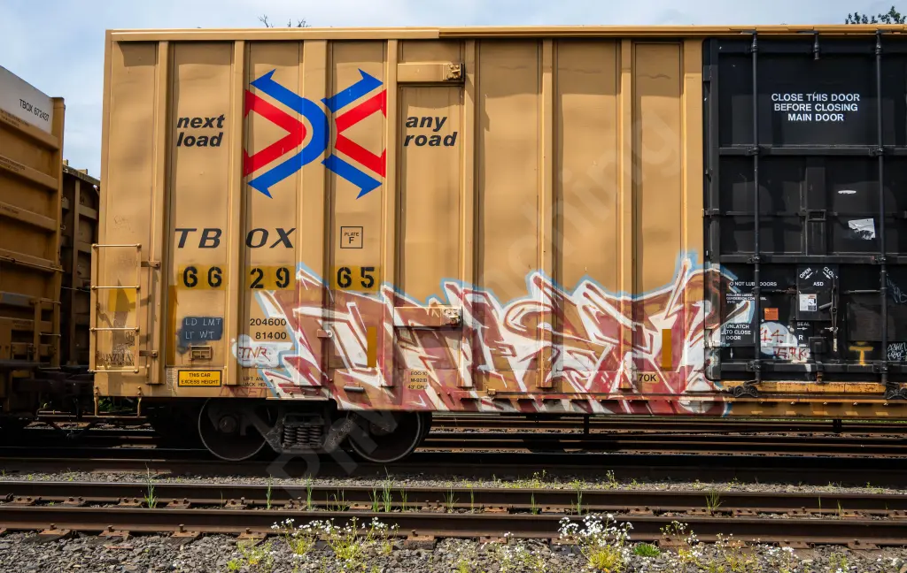 TBOX662965 - NORTH-AMERICA