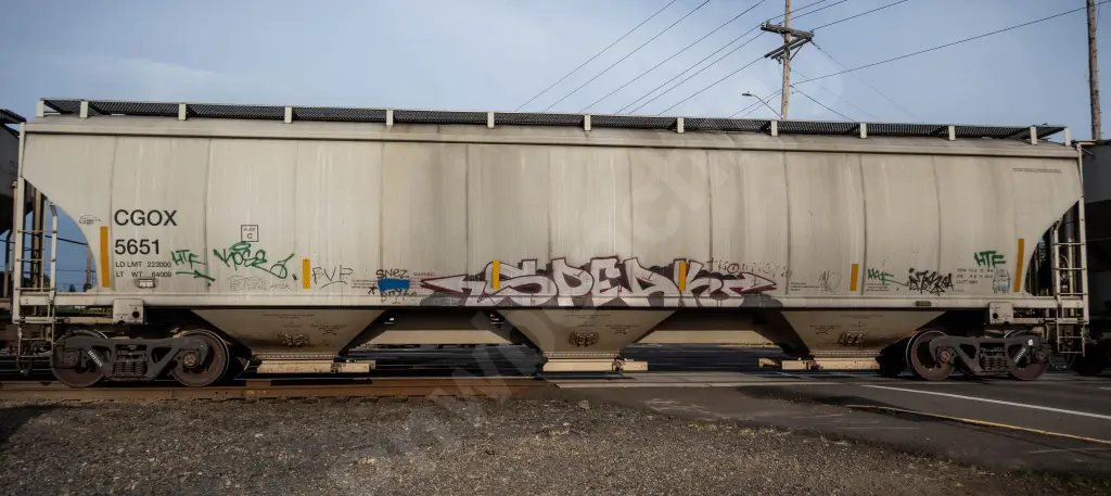 CGOX5651 - NORTH-AMERICA