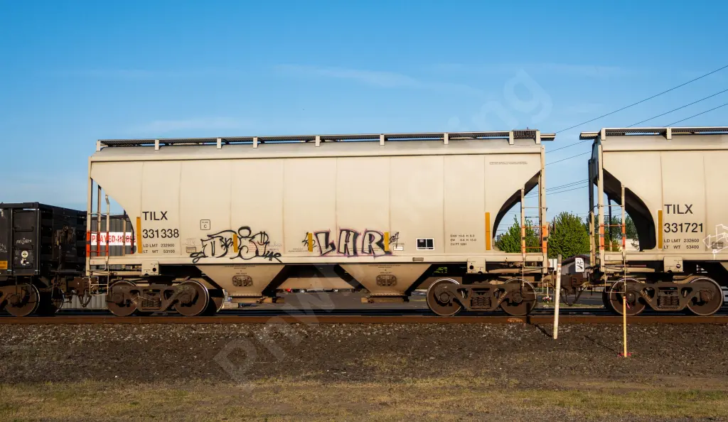 TILX331338 - NORTH-AMERICA