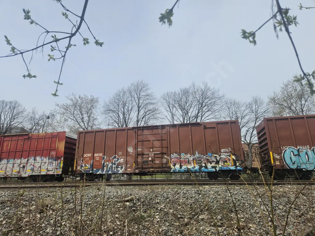 UCRY86113 - NORTH-AMERICA