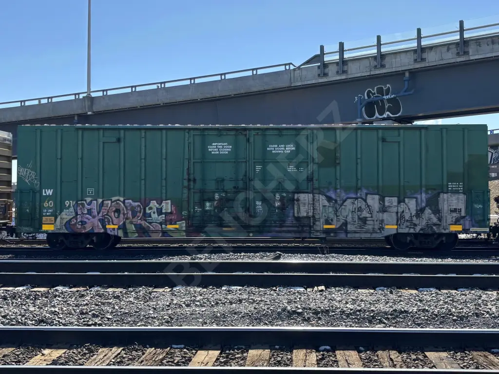 LW6091 - NORTH-AMERICA