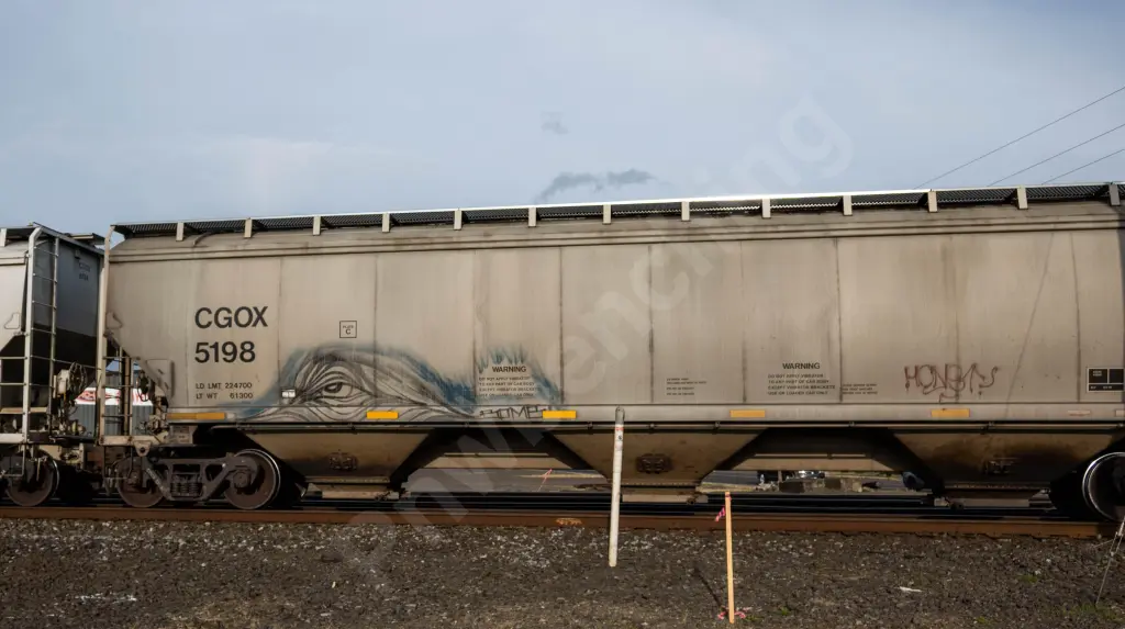 CGOX5198 - NORTH-AMERICA