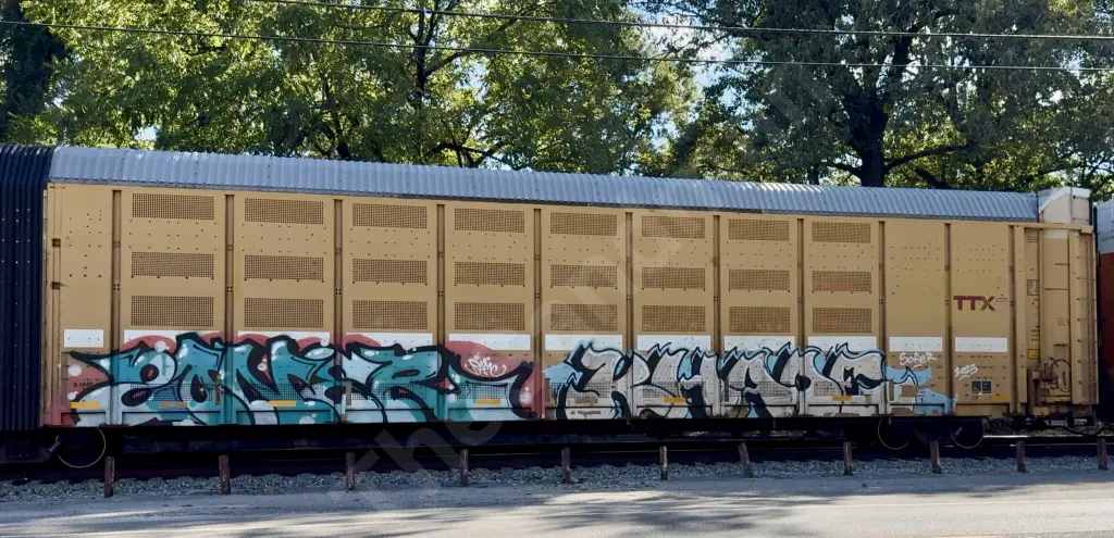 BTTX880361 - NORTH-AMERICA