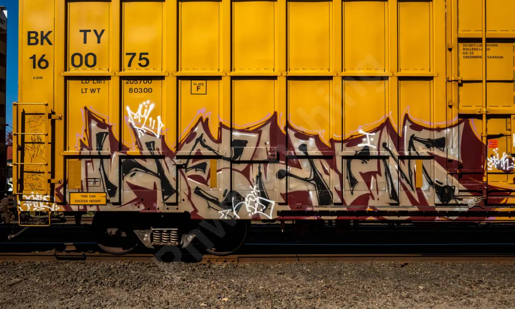 BKTY160075 - NORTH-AMERICA