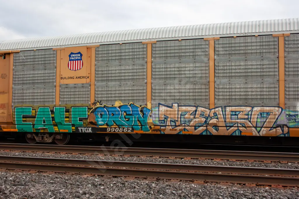 TTGX990862 - NORTH-AMERICA