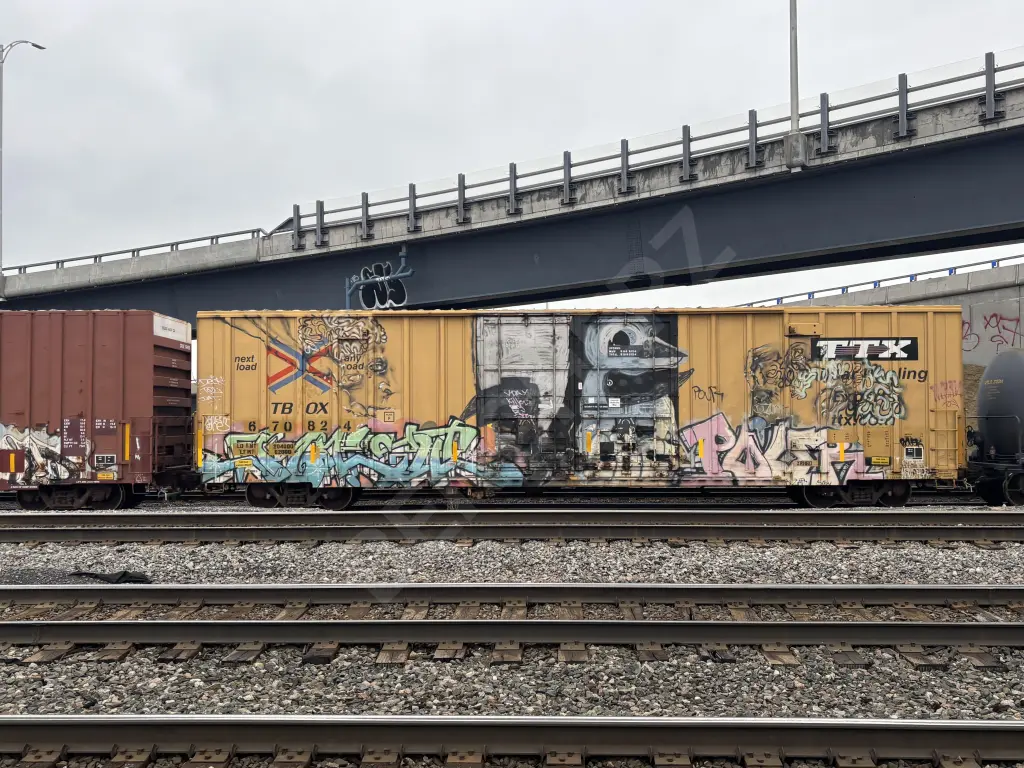 TBOX670824 - NORTH-AMERICA