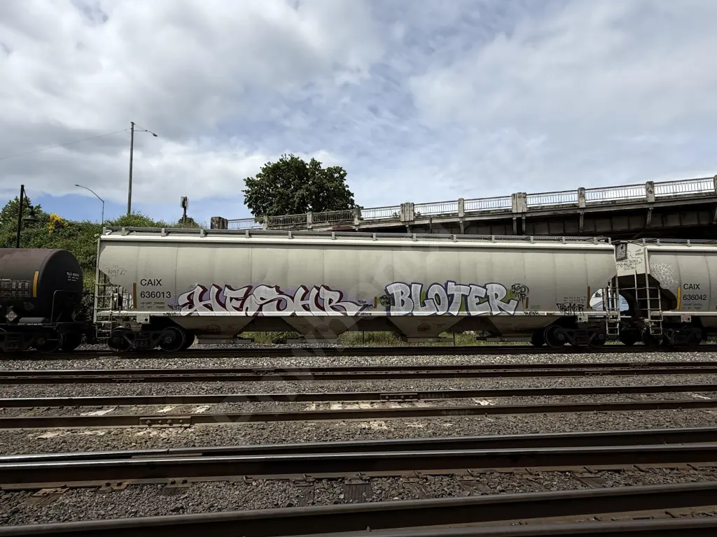 CAIX636013 - NORTH-AMERICA