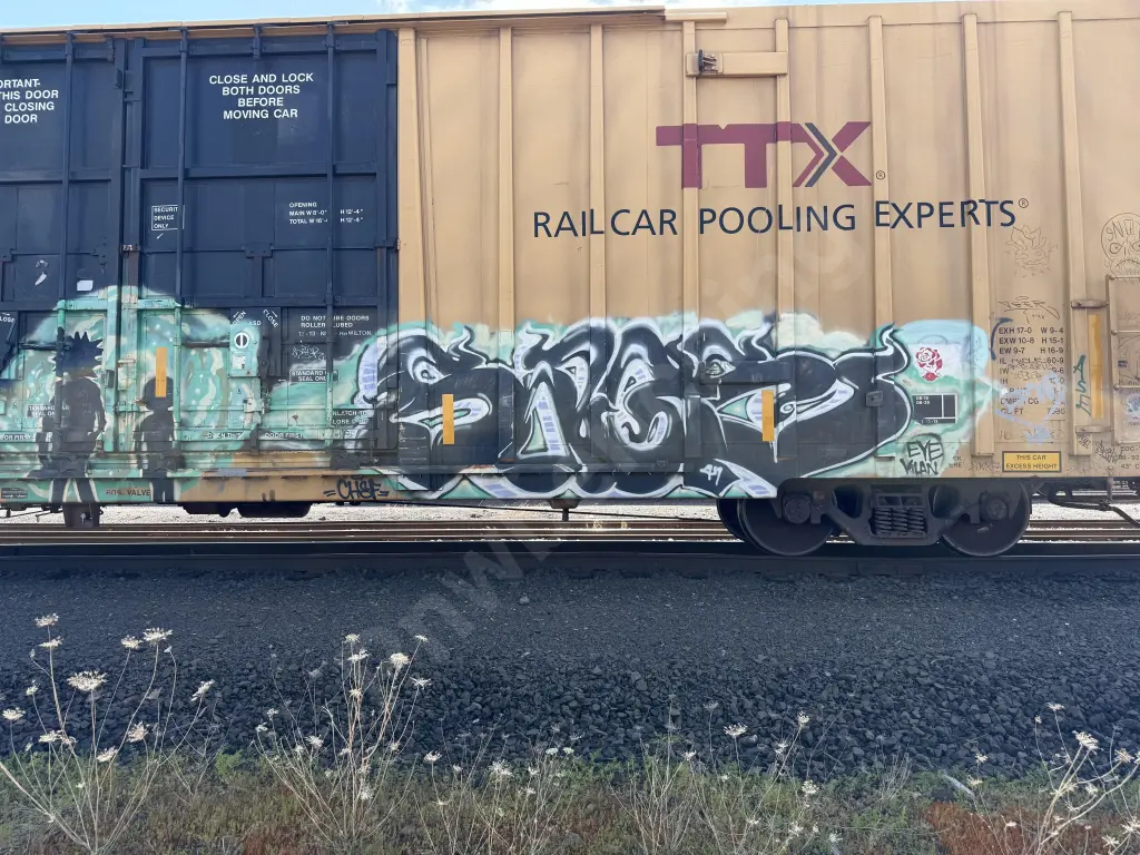 TBOX667665 - NORTH-AMERICA