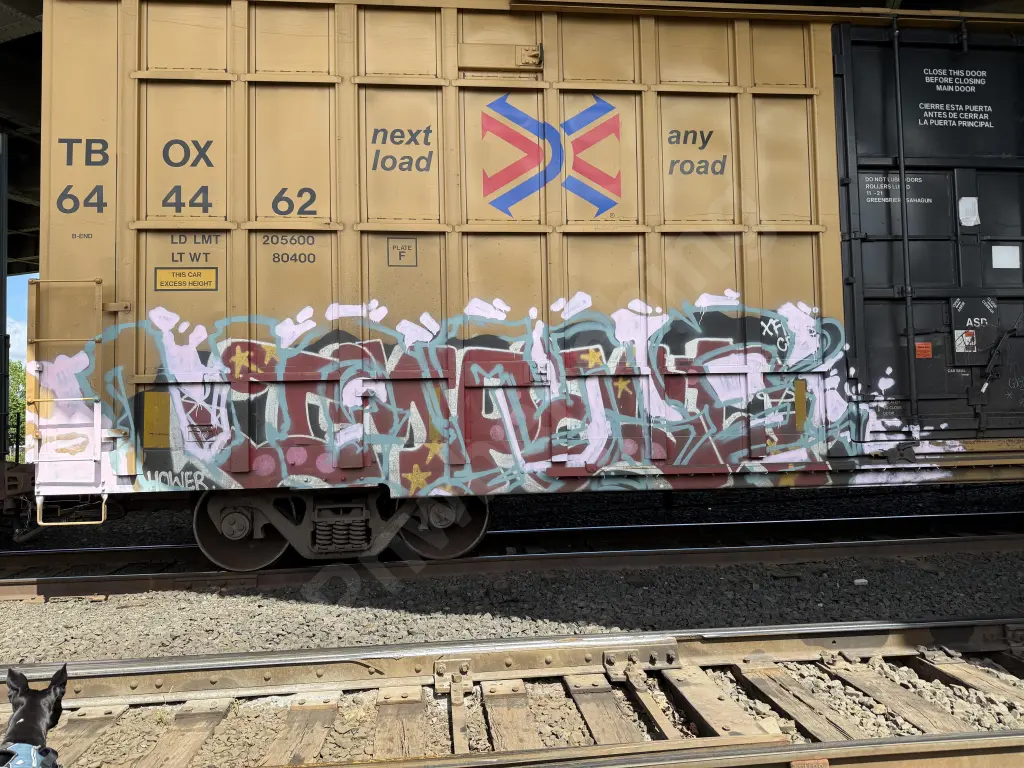 TBOX644462 - NORTH-AMERICA
