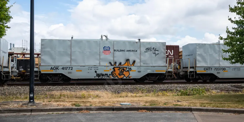 AOK41772 - NORTH-AMERICA