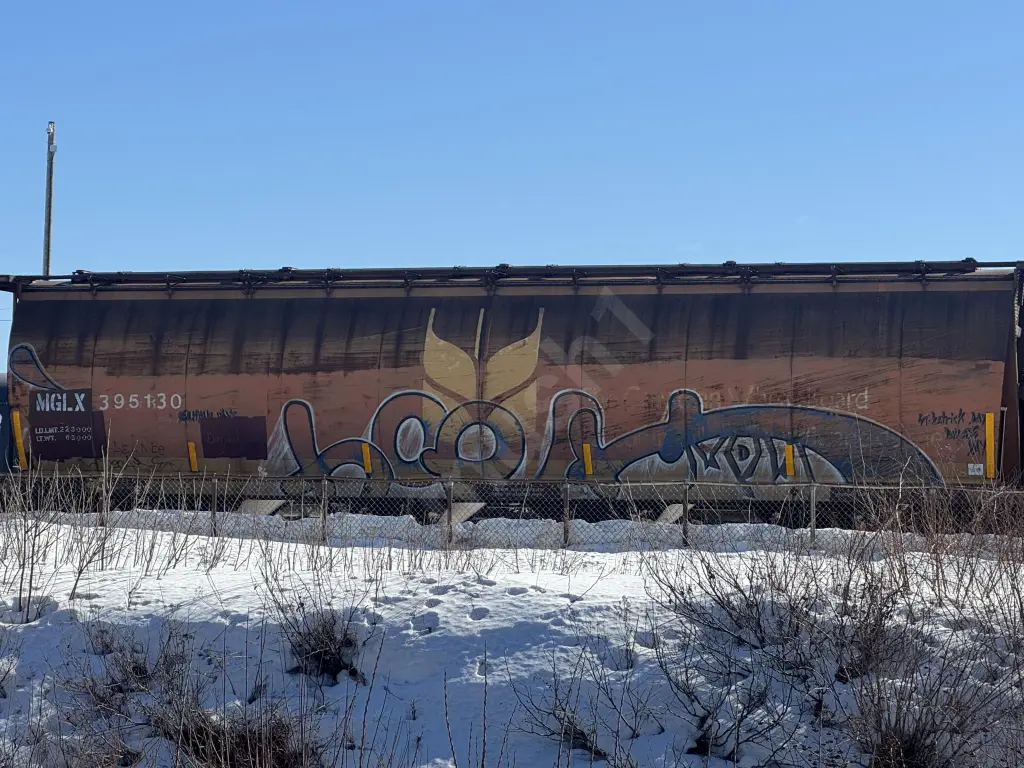 MGLX395130 - NORTH-AMERICA