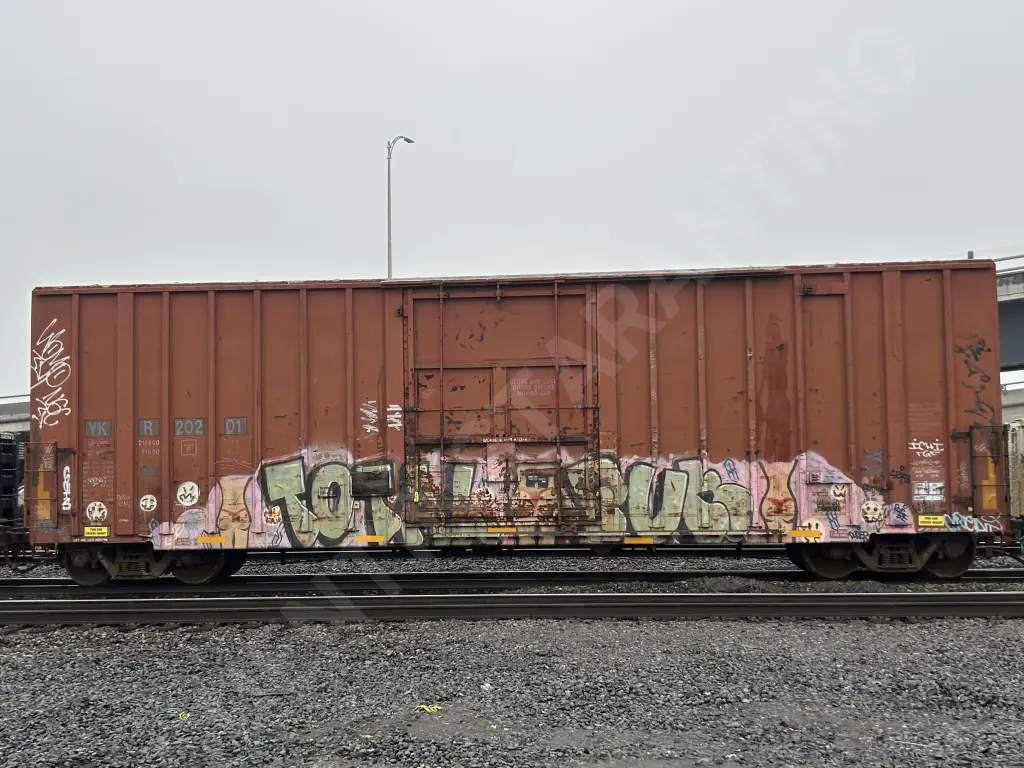 YKR20201 - NORTH-AMERICA