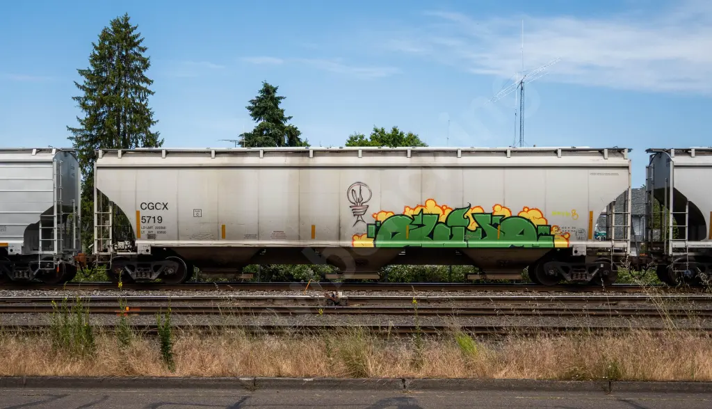 CGCX5719 - NORTH-AMERICA