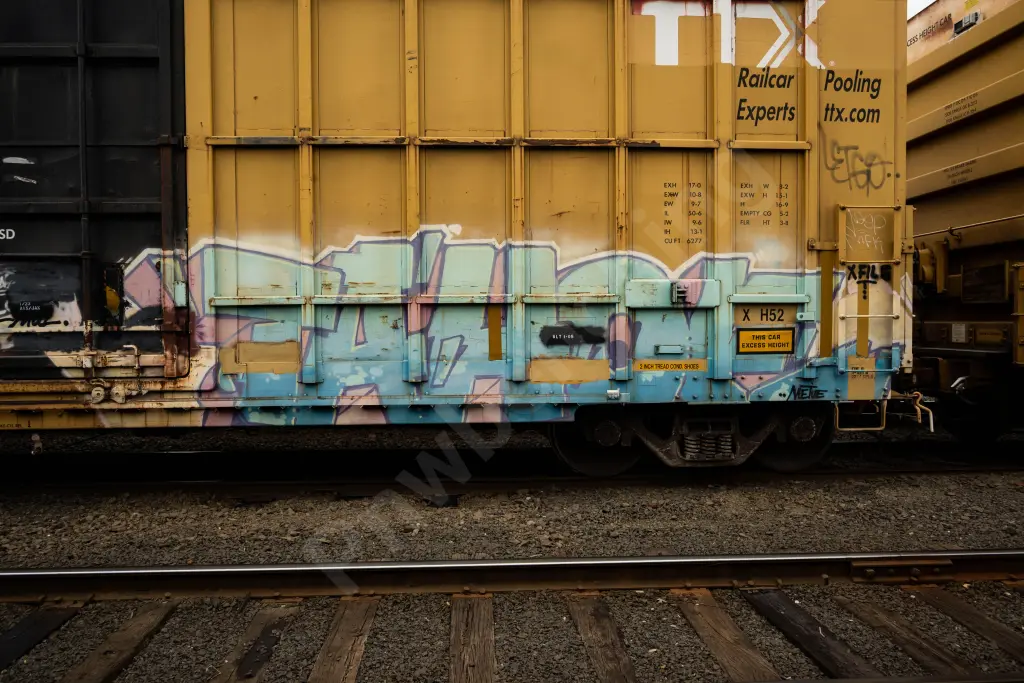 FBOX504264 - NORTH-AMERICA