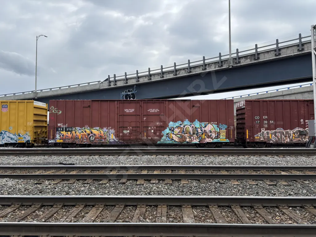 WC22313 - NORTH-AMERICA