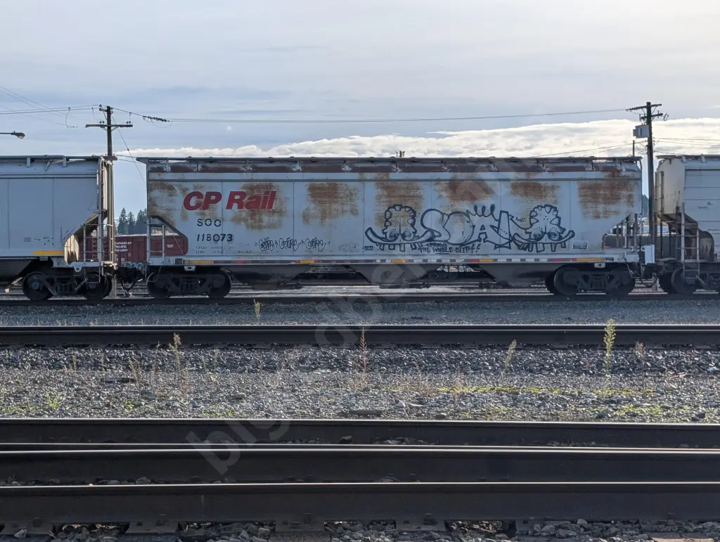 SOO118073 - NORTH-AMERICA